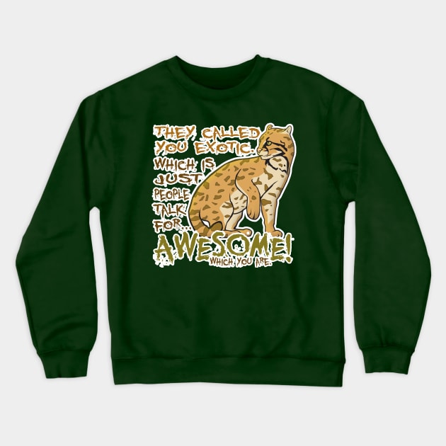 Babou is Awesome! Crewneck Sweatshirt by EJTees